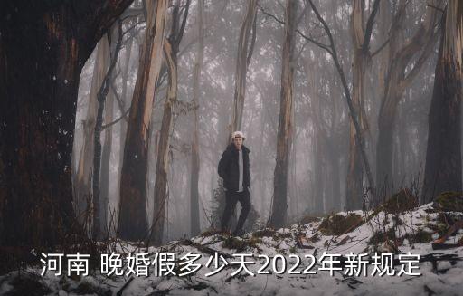 晚婚假期,什么是晚婚假期