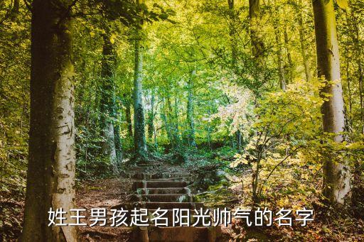 王俊民
