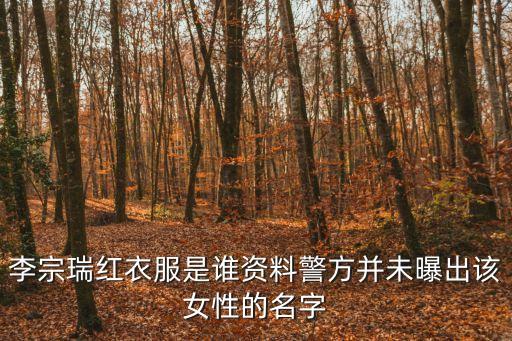 李宗瑞紅衣服是誰(shuí)資料警方并未曝出該女性的名字