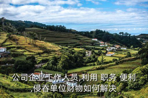 職務便利,國有保險公司工作人員趙某,利用職務便利