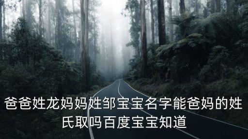 鄒睿