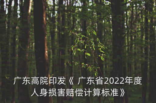 廣東高院印發(fā)《 廣東省2022年度人身損害賠償計算標(biāo)準(zhǔn)》