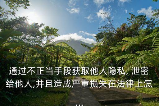 通過不正當手段獲取他人隱私, 泄密給他人,并且造成嚴重損失在法律上怎...