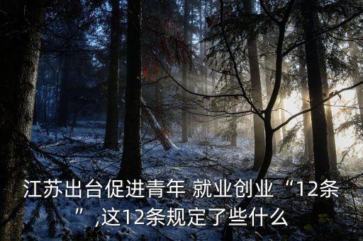江蘇出臺(tái)促進(jìn)青年 就業(yè)創(chuàng)業(yè)“12條”,這12條規(guī)定了些什么