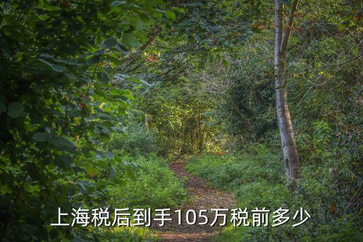 年終獎計算器,個人所得稅年終獎計算器