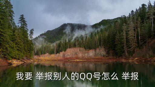 舉報(bào)qq號