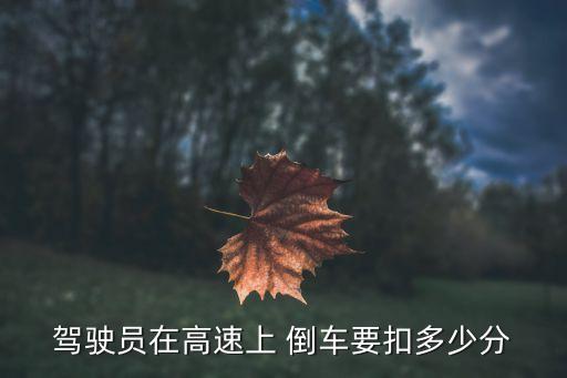 駕駛員在高速上 倒車要扣多少分