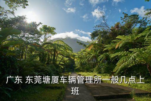 東莞車管所電話,駕駛證24小時在線咨詢