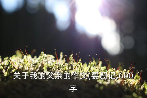爸爸讓我