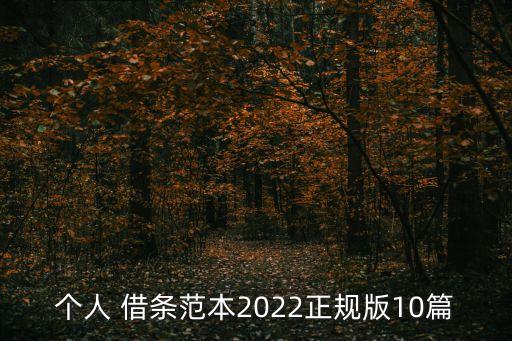 個人 借條范本2022正規(guī)版10篇