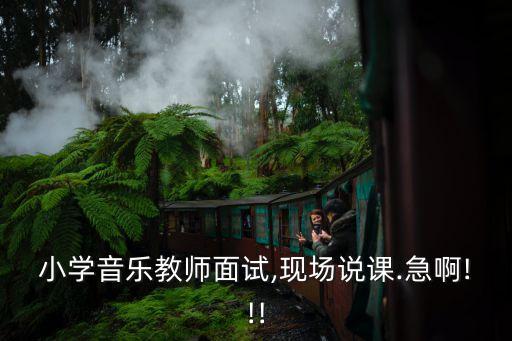 小學(xué)音樂教師面試,現(xiàn)場(chǎng)說課.急啊!!!