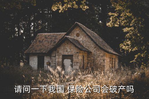 請(qǐng)問(wèn)一下我國(guó) 保險(xiǎn)公司會(huì)破產(chǎn)嗎