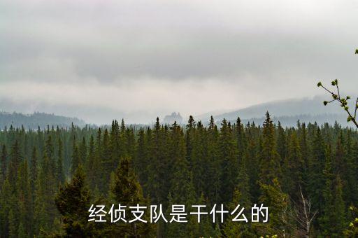 經(jīng)偵支隊(duì)是干什么的