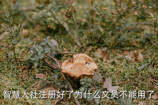 智慧人社注冊好了為什么文員不能用了