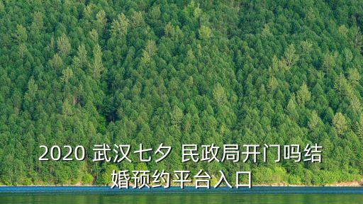 武漢民政局