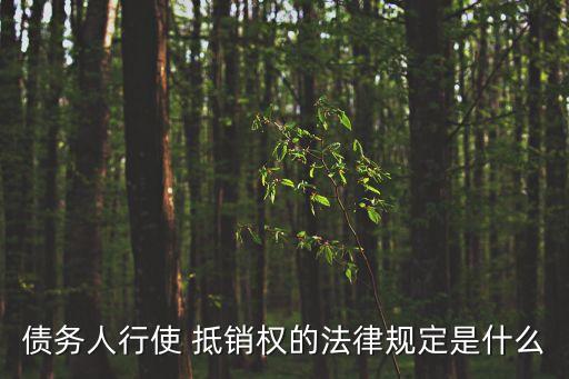 債務(wù)人行使 抵銷權(quán)的法律規(guī)定是什么