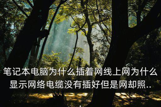 插入網(wǎng)