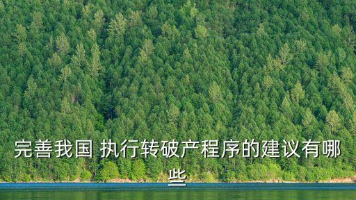 完善我國 執(zhí)行轉(zhuǎn)破產(chǎn)程序的建議有哪些