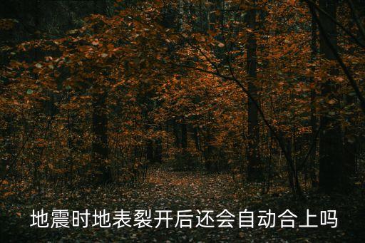 地震裂縫