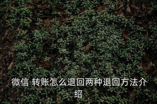 微信轉(zhuǎn)賬怎么退款