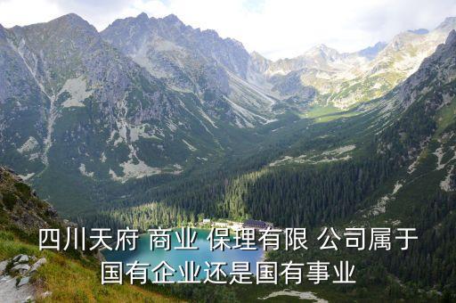 商業(yè)保理公司,保理公司是做什么的