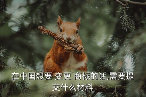 在中國想要 變更 商標(biāo)的話,需要提交什么材料