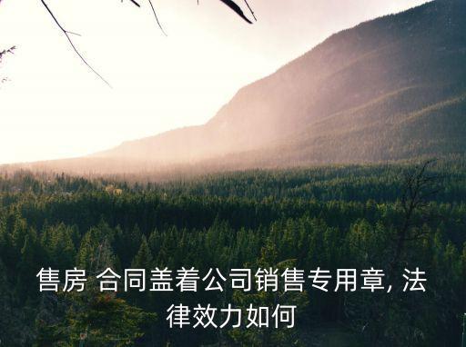 售房 合同蓋著公司銷售專用章, 法律效力如何