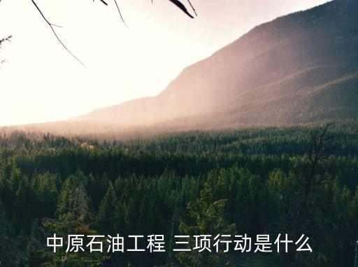 安全生產(chǎn)三項行動,水利安全生產(chǎn)三項行動