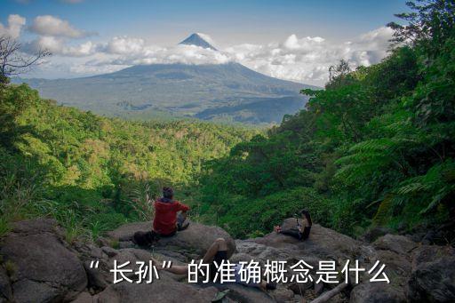 “ 長孫”的準(zhǔn)確概念是什么