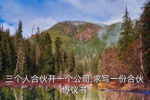 三個人合伙開一個公司,求寫一份合伙協(xié)議書