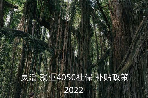  靈活 就業(yè)4050社保 補(bǔ)貼政策2022
