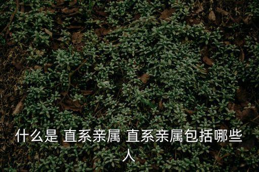 姥姥算直系親屬嗎,政審三代包括外公外婆嗎