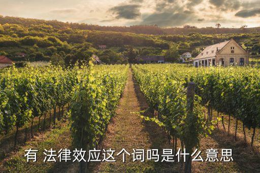 法律效益的意思,雙方簽訂協(xié)議具有法律效應(yīng)嗎