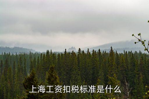  上海工資扣稅標(biāo)準(zhǔn)是什么