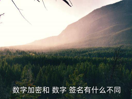  數(shù)字加密和 數(shù)字 簽名有什么不同