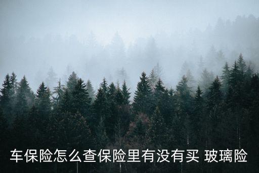 車保險怎么查保險里有沒有買 玻璃險