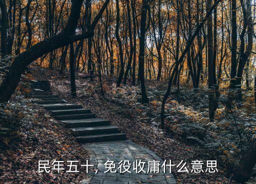 民年五十, 免役收庸什么意思