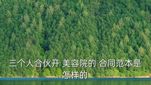 美容院入股合同協(xié)議書模板,二人合伙人股權(quán)分配方案