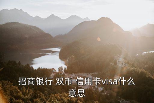 招商銀行 雙幣 信用卡visa什么意思