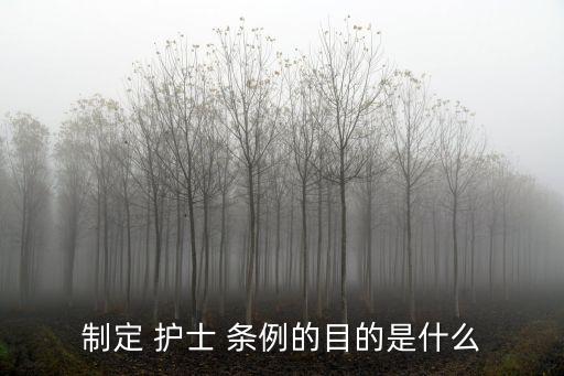 護(hù)士條例