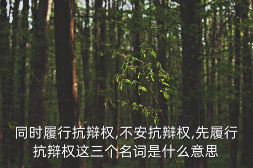 同時(shí)履行抗辯權(quán),不安抗辯權(quán),先履行抗辯權(quán)這三個(gè)名詞是什么意思
