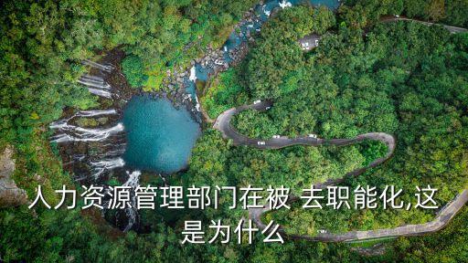 人力資源管理部門在被 去職能化,這是為什么