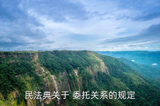 委托合同 法律規(guī)定,民法典關(guān)于委托合同的法律規(guī)定