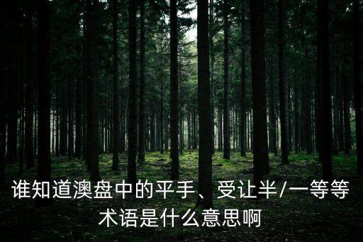 誰知道澳盤中的平手、受讓半/一等等術(shù)語是什么意思啊