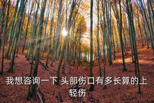我想咨詢一下 頭部傷口有多長算的上 輕傷