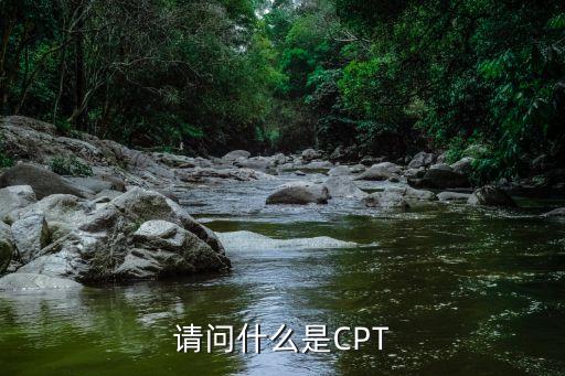 請問什么是CPT
