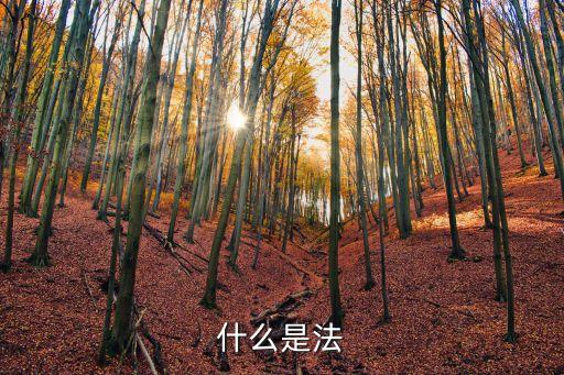 什么是法