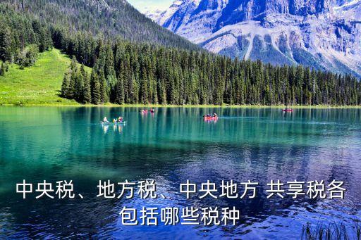 中央稅、地方稅、中央地方 共享稅各包括哪些稅種
