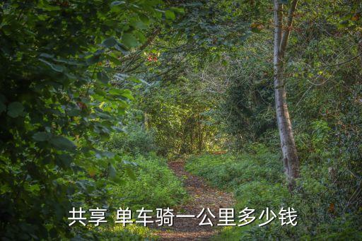  共享 單車(chē)騎一公里多少錢(qián)