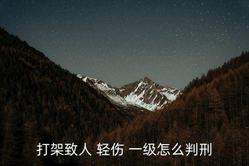 輕傷一級量刑標(biāo)準(zhǔn)